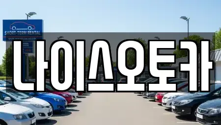 부산광역시 부산진구 장기렌트카 전문 나이스오토카