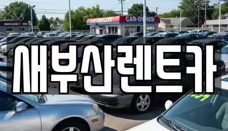부산광역시 부산진구 장기렌트카 전문 새부산렌트카