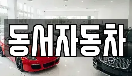 부산광역시 부산진구 중고차 전문 동서자동차