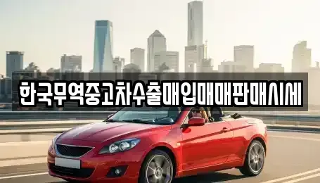 부산광역시 부산진구 중고차 전문 한국무역중고차수출매입매매판매시세