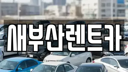 부산광역시 서구 초장동 렌트카 전문 새부산렌트카