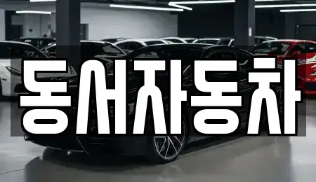 부산광역시 서구 초장동 중고차,렌트카,중고차매입,중고차매매,장기렌트카,단기렌트카