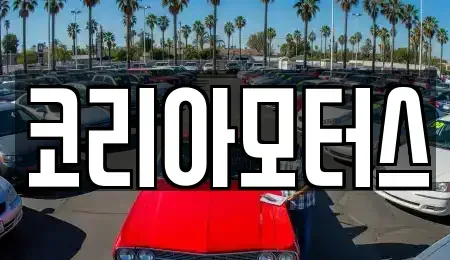 부산광역시 서구 초장동 중고차 전문 코리아모터스