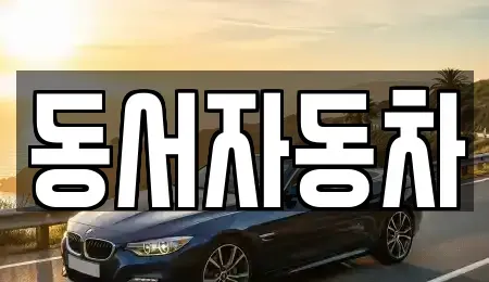 부산광역시 영도구 영선동1가 중고차 전문 동서자동차