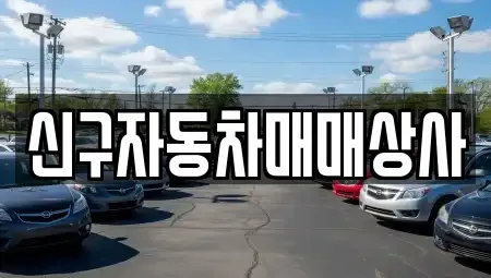 부산광역시 영도구 영선동1가 중고차 전문 신구자동차매매상사