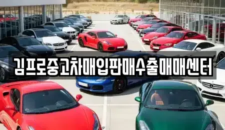 부산광역시 중구 영주동 중고차 전문 김프로중고차매입판매수출매매센터