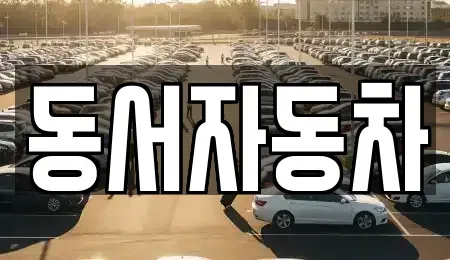 부산광역시 중구 영주동 중고차매매 전문 동서자동차