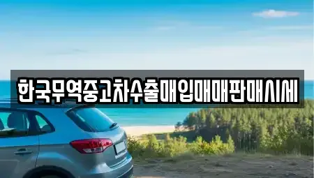 부산광역시 해운대구 반여동 중고차매입 전문 한국무역중고차수출매입매매판매시세