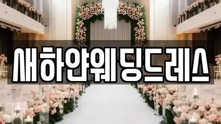 경기 안성시 신흥동 웨딩메이크업 쿠폰 6