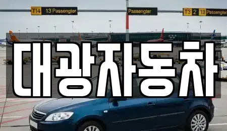 서울 강동구 천호동 중고차 전문 대광자동차