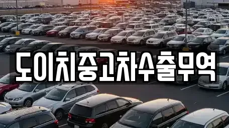 서울 강동구 천호동 중고차 전문 도이치중고차수출무역