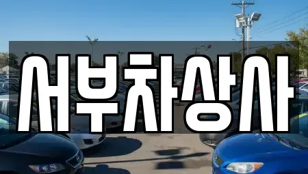 서울 강동구 천호동 중고차 전문 서부차상사