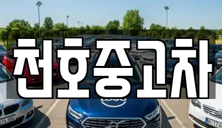 서울 강동구 천호동 중고차 전문 천호중고차