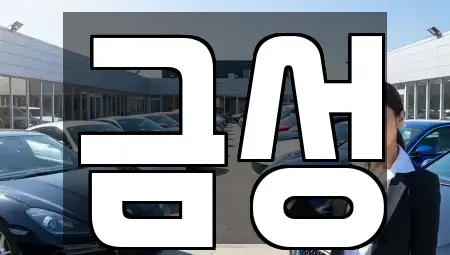 서울 노원구 월계동 렌트카 전문 금성