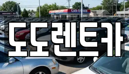 서울 노원구 월계동 렌트카 전문 도도렌트카