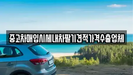 서울 노원구 월계동 중고차매입 전문 중고차매입시세내차팔기견적가격수출업체