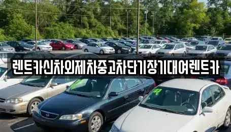 서울 동대문구 신설동 단기렌트카 전문 렌트카신차외제차중고차단기장기대여렌트카