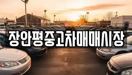 서울 동대문구 신설동 중고차 전문 장안평중고차매매시장
