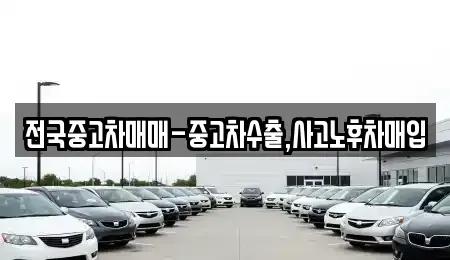 서울 동대문구 신설동 중고차매입 전문 전국중고차매매-중고차수출,사고노후차매입