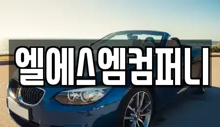서울 서초구 우면동 단기렌트카 전문 엘에스엠컴퍼니