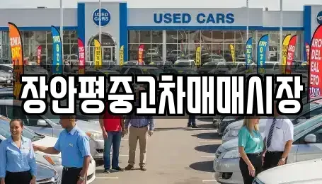 서울 서초구 우면동 중고차 전문 장안평중고차매매시장