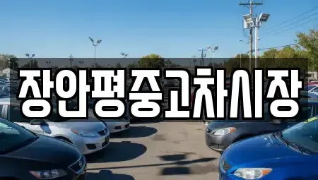 서울 서초구 우면동 중고차매매 전문 장안평중고차시장