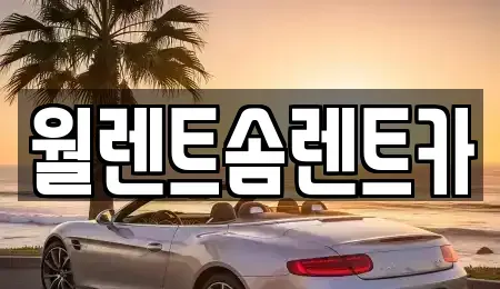 서울 성북구 돈암동 렌트카 전문 월렌트솜렌트카