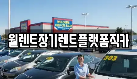 서울 성북구 성북동 렌트카 전문 월렌트장기렌트플랫폼직카