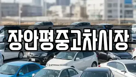 서울 성북구 성북동 중고차매매 전문 장안평중고차시장