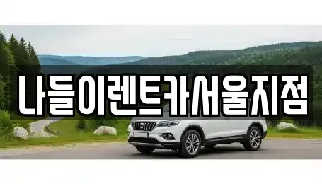 서울 성북구 안암동2가 렌트카 전문 나들이렌트카서울지점