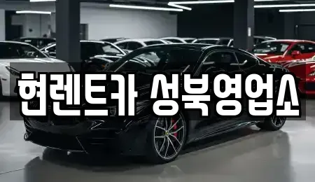 서울 성북구 안암동2가 렌트카 전문 현렌트카 성북영업소