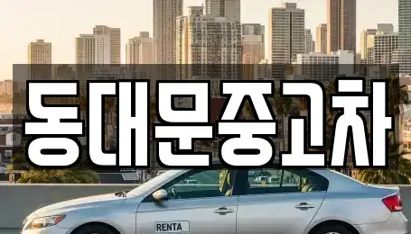 서울 성북구 안암동2가 중고차 전문 동대문중고차