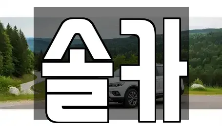 서울 성북구 안암동2가 중고차 전문 솔카