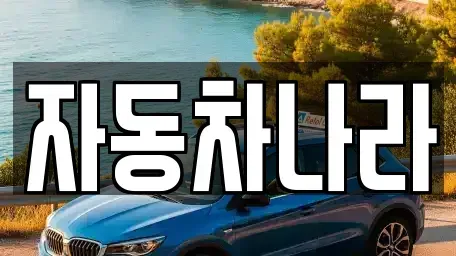 서울 성북구 안암동2가 중고차 전문 자동차나라