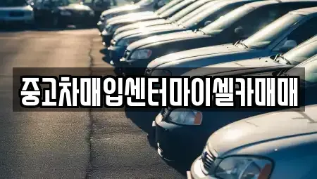 서울 성북구 안암동2가 중고차매입 전문 중고차매입센터마이셀카매매