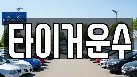 서울 송파구 가락동 단기렌트카 전문 타이거운수