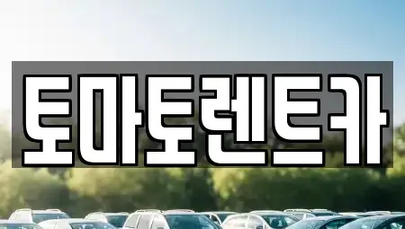 서울 송파구 가락동 장기렌트카 전문 토마토렌트카