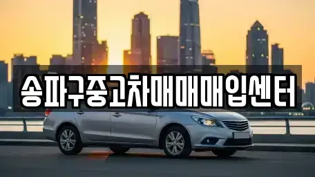 서울 송파구 가락동 중고차매매 전문 송파구중고차매매매입센터