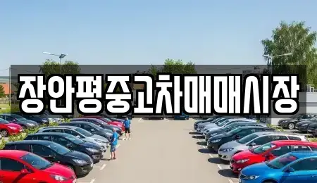 서울 송파구 가락동 중고차매매 전문 장안평중고차매매시장