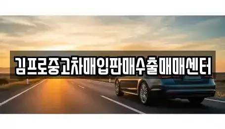 서울 송파구 가락동 중고차매입 전문 김프로중고차매입판매수출매매센터