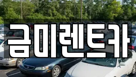 서울 영등포구 문래동1가 렌트카 전문 금미렌트카