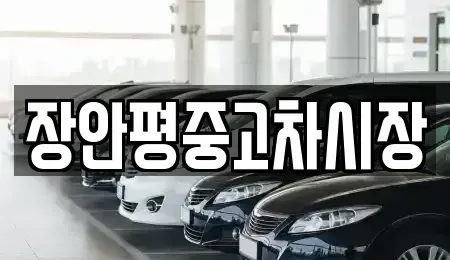 서울 영등포구 문래동1가 중고차 전문 장안평중고차시장