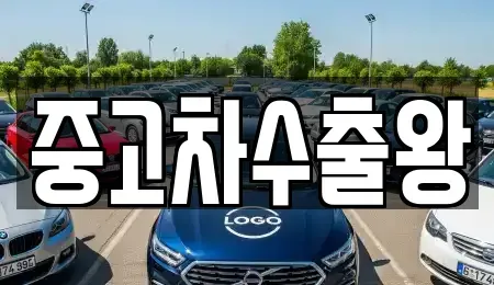 서울 영등포구 문래동1가 중고차 전문 중고차수출왕