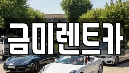 서울 영등포구 신길동 단기렌트카 전문 금미렌트카