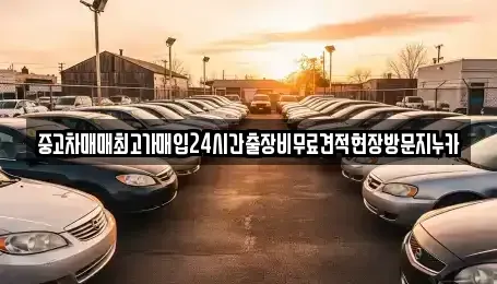 서울 영등포구 신길동 중고차매입 전문 중고차매매최고가매입24시간출장비무료견적현장방문지누카