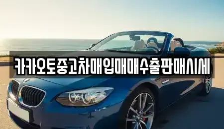 서울 영등포구 신길동 중고차매입 전문 카카오토중고차매입매매수출판매시세
