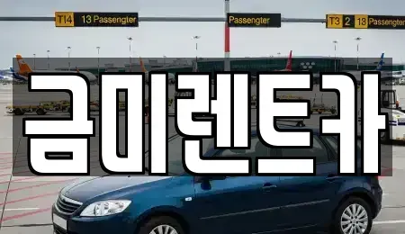 서울 영등포구 영등포동2가 렌트카 전문 금미렌트카