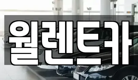 서울 영등포구 영등포동2가 렌트카 전문 월렌트카