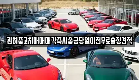 서울 영등포구 영등포동2가 중고차 전문 관허중고차매매매각즉시송금당일이전무료출장견적