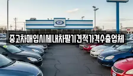 서울 영등포구 영등포동2가 중고차매입 전문 중고차매입시세내차팔기견적가격수출업체